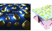 분자수준 생체물질 관찰 가능…신개념 ‘나노등대’ 개발
