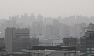 서울 연평균 미세먼지 ‘보통’이지만…선진국 대도시 2배