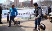 “우리집 개가 달라졌어요”…서울시, 반려동물교육 강좌