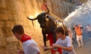 [포토뉴스] 스페인 ‘황소몰이 축제’