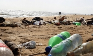 아디다스도 ‘플라스틱 전쟁’…“2024년까지 재활용 소재만 사용”
