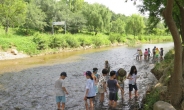 강남구, 양재천서 여름방학 생태체험 운영
