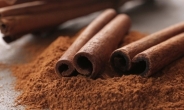 ‘쇳가루 범벅’ 계피·코코아 가루…금속성 이물질 기준치 초과