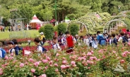 ‘울산대공원 장미축제’ 기간, 하루 평균 매출 7.2% ↑