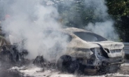 국회 국토교통위, 28일 BMW 차량 화재사고 공청회 개최