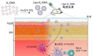 신개념 DNA 나노입자로 아토피성 피부염 치료