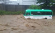 내일도 흐리고 비… 충청ㆍ호남 시간당 40㎜ 폭우