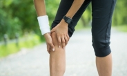 준비 없는 과도한 운동 무릎 반월상 연골 손상 부른다…관절내시경으로 치료 가능해