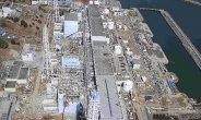 후쿠시마 비극 잊었나… 日법원, 이카타 원전 “재가동”