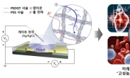 고성능 인체 이식형 유기생체전자소자 개발