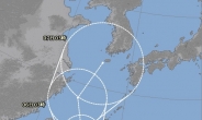 “태풍 콩레이, 日오키나와→대만→한반도”…美·日 기상청 전망