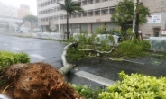 오키나와·가고시마 무더기 정전…태풍 '콩레이'에 日 '긴장'