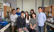 UNIST 박지영 교수팀, 만성 간질환 진단ㆍ치료 단백질 발견
