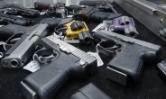 미국인 5명중 1명 총기보유…580만명은 10정이상 소유