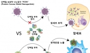 암 표적치료제 효과↑ㆍ부작용↓ 기술 개발