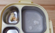 김치 한 조각, 맹물국이 전부…먹을 게 없는 어린이집 급식
