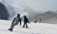 겨울 스키시즌 오픈…강원도 스키장 슬로프 열렸다