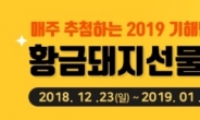 NH콕뱅크, ‘2019 기해년 황금돼지 선물 이벤트’ 실시