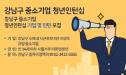 강남구, 청년인턴 200명에 월 80~100만원 지원