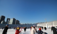 서울광장 스케이트장 개장 한달…미세먼지 불구 7만명 돌파