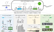 미생물로 희귀 유전자원 정밀탐색…인공 유전자회로 기술 개발