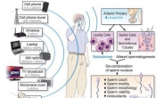 휴대전화 전자파, 남성 DNA 손상ㆍ불임에 영향