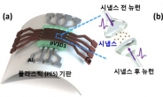 KAIST, 인간 뇌 모사한 뉴모로픽 칩 시냅스 구현