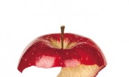 사과가 ‘슈퍼푸드’인 이유는 ‘껍질’ 때문…