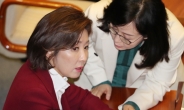 나경원 “민주당, 내년 총선 자신 없으니 연동형 비례대표제 강행”
