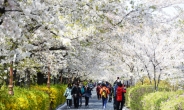 “동대문 봄꽃축제에 판매ㆍ체험 부스 참가자 모십니다”