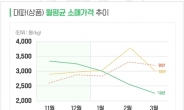 “대파, 감기예방과 피로회복에 효과 만점”