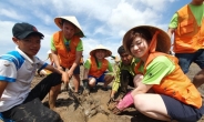 SK이노베이션, 베트남 PVEP와 맹그로브 숲 복원 자원봉사