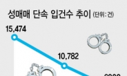 성매매, 더 깊숙이 숨었다...경찰 입건, 3년前 40% 수준