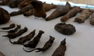 쥐 미라 고대 무덤 발견…이집트인들 ‘시각장애인 치료’ 미신숭배