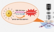 김치 매운맛 성분 정밀 분석…김치맛 등급제 적용 기대