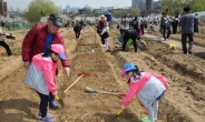 금천구, 행복을 가꾸는 ‘친환경 주말농장’ 개장