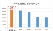 지금은 브랜드 시대! 지역 내 대형 건설사 브랜드 아파트 잡아라