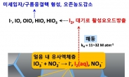 극지 기후변화 주범 ‘고농도 요오드’ 생성 비밀 규명