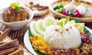 [aT와 함께하는 글로벌푸드 리포트] 말레이시아도 음식 배달시장 뜨거운 경쟁