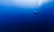 세계 최고 잠수 기록 경신한 美 남성, “바다 밑에서 플라스틱 쓰레기 봤다”