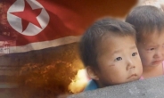 WSJ “일부 전문가들, 북한 기근 우려에 의문 제기”