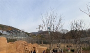 서울대공원, AZA 국제인증 도전