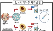 “44일만에 종양 다 죽었다” 인보사 큰 우려 없다지만…