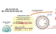 흡연과 상관없는 폐암유발 돌연변이 유전자, 유년기부터 발생