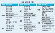 정부포럼·기업M&A 자문…빛 발하는 해외진출 로펌