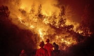 ‘사상최악’ 캘리포니아 산불, 망치 스파크에서 시작…“말벌집 없애려다”