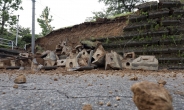 일본 지진 피해 상황은?…지붕 떨어지고, 묘지 쓰러져