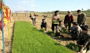 통일부, 대북지원 비판론 적극 해명…“소외계층 복지용 쌀 이미 공급”