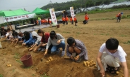 성남시, 시민농원서 농작물 체험 행사