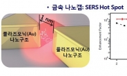 [출연연 미래유망기술] ⑦나노와 만난 금속, 세포와 만난 세라믹…소재는 무한변신中